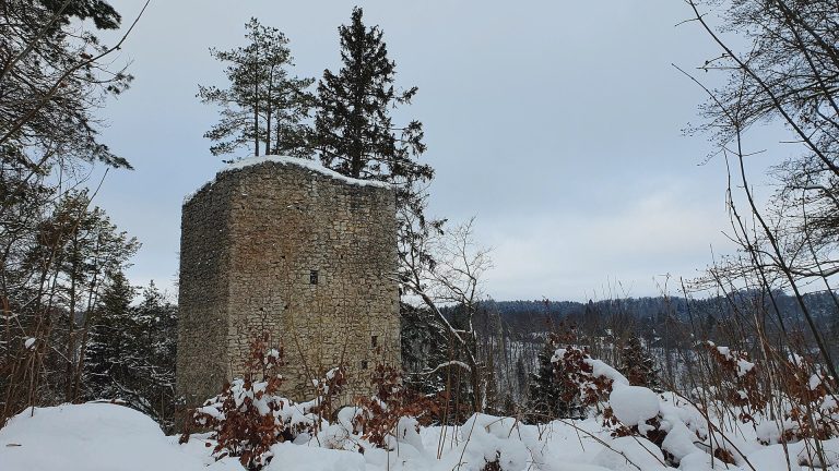 Burg Hohenerpfingen: A High-Medieval Castle in Germany