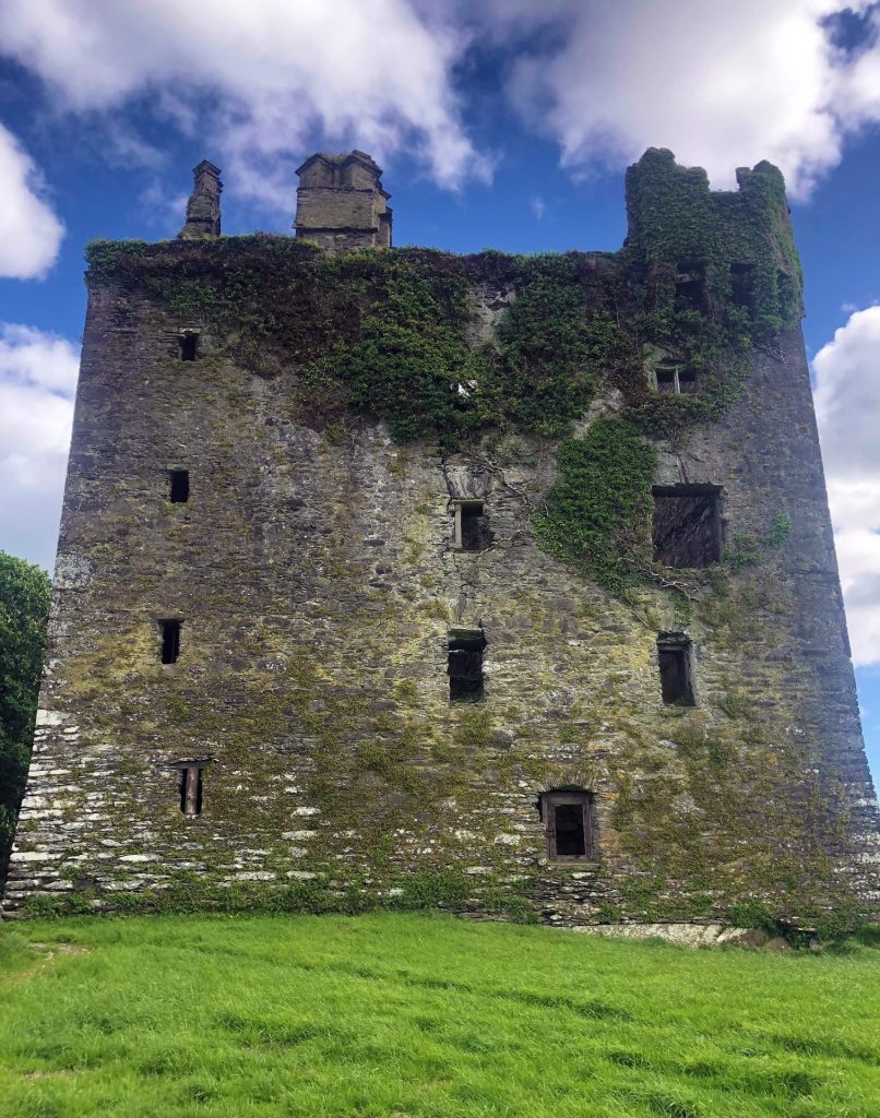 Togher Castle: A MacCarthy Tower House in County Cork 2 Togher Castle