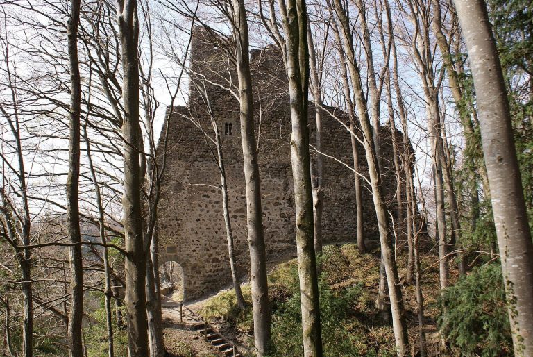 Old Ramschwag Castle Ruin: A Medieval Spur Castle in Switzerland