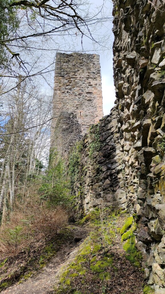 Wieladingen Castle Ruins: A Medieval Noble Castle in Germany 4 Burgruine Wieladingen