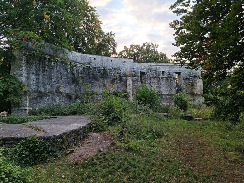 Alte Burg: A Medieval Royal Castle Ruin in Germany 1 Alte Burg