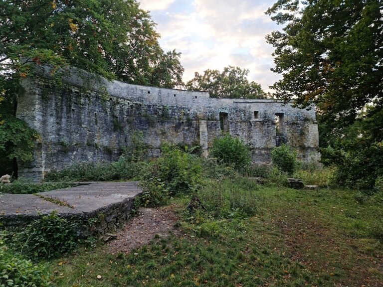 Alte Burg: A Medieval Royal Castle Ruin in Germany