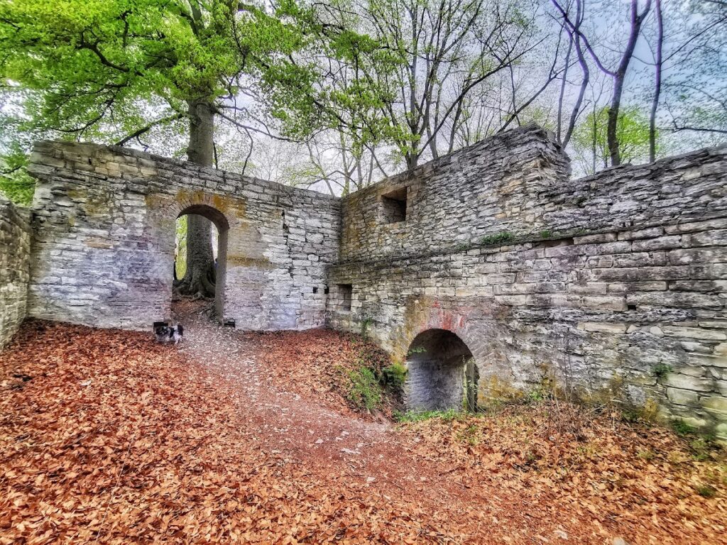 Alte Burg: A Medieval Royal Castle Ruin in Germany 2 Alte Burg