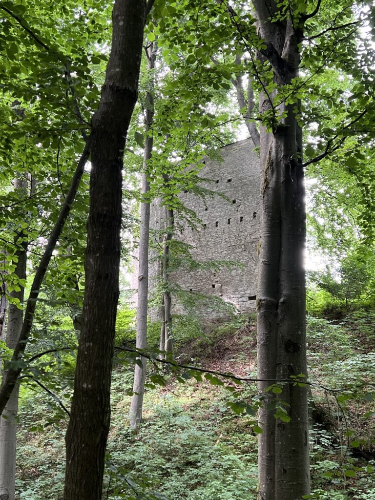Alte Burg: A Medieval Royal Castle Ruin in Germany 4 Alte Burg
