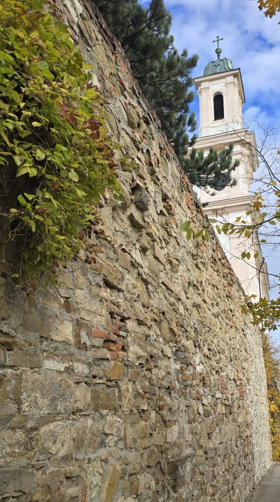 Burg am Leopoldsberg: A Hilltop Castle in Vienna 5 Burg am Leopoldsberg