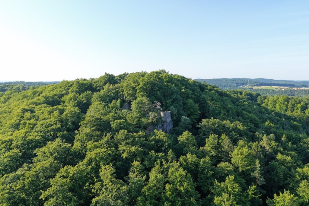 Leienfels Castle Ruins: A Late-Medieval Hill Castle in Germany 4 Burgruine