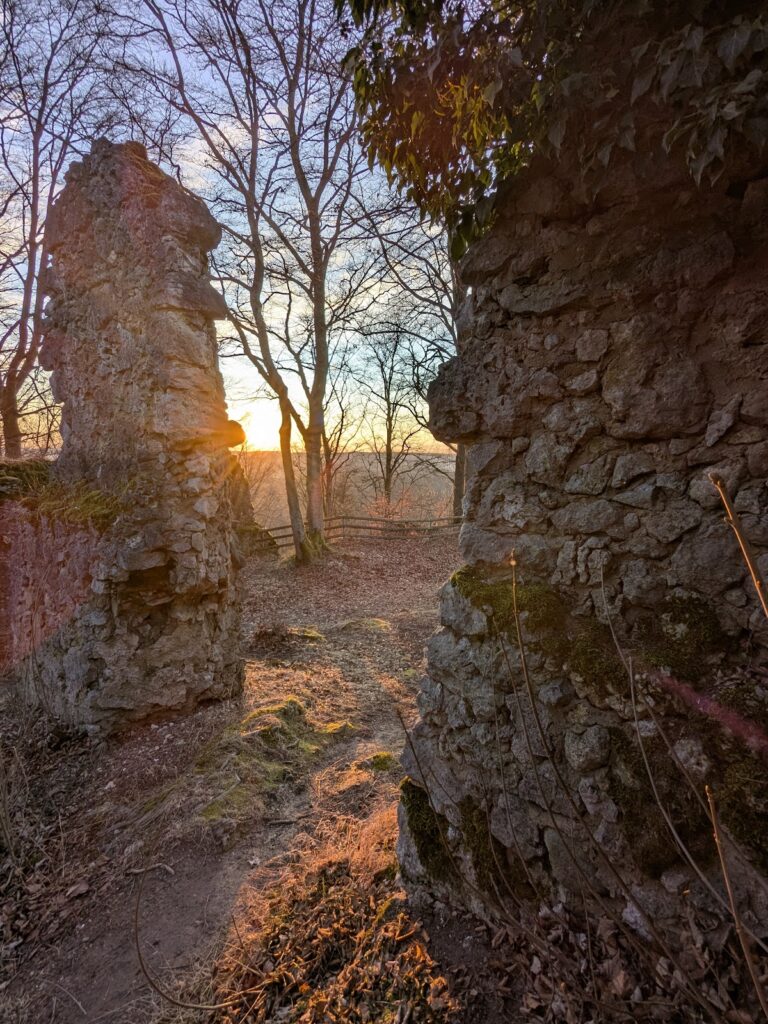 Leienfels Castle Ruins: A Late-Medieval Hill Castle in Germany 5 Burgruine