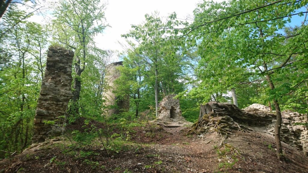 Burgruine Schauenforst: A Medieval Hilltop Castle in Germany 4 Burgruine Schauenforst