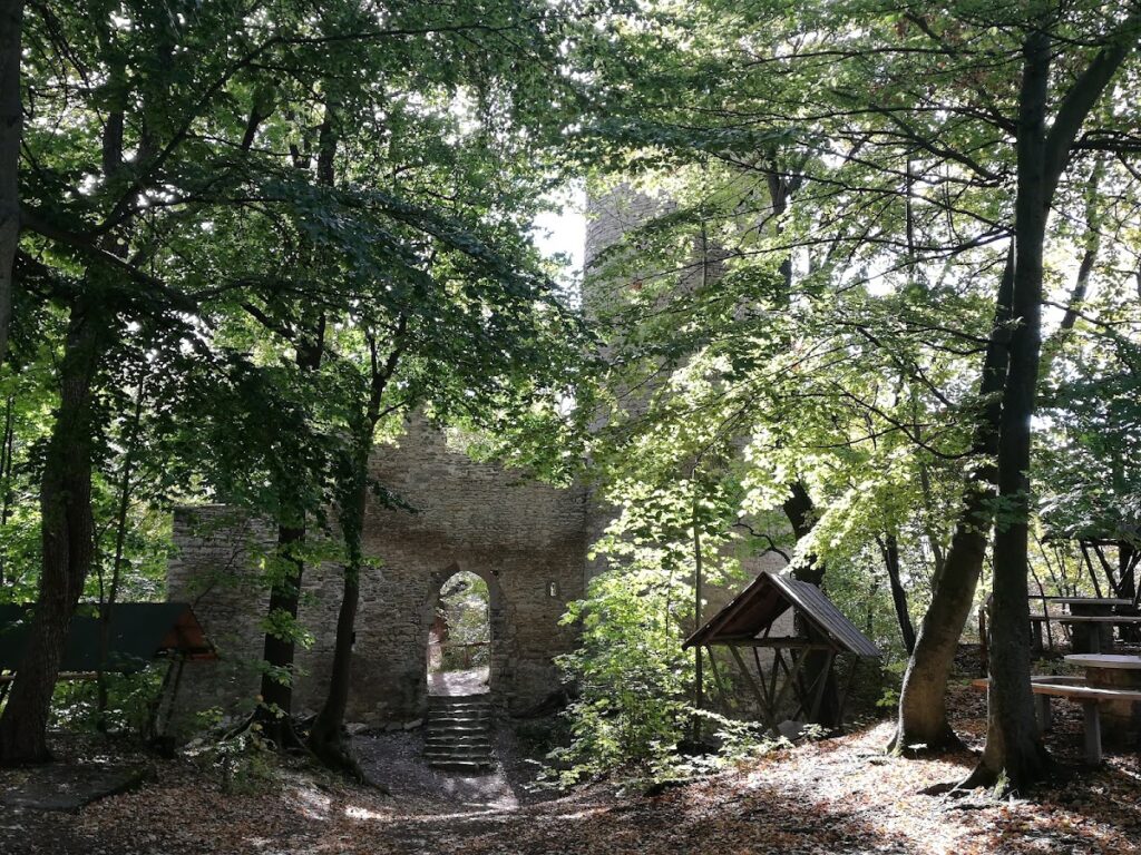 Burgruine Schauenforst: A Medieval Hilltop Castle in Germany 5 Burgruine Schauenforst
