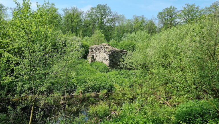 Ruine Nienburg: Remains of a Moated Aristocratic Castle in Germany