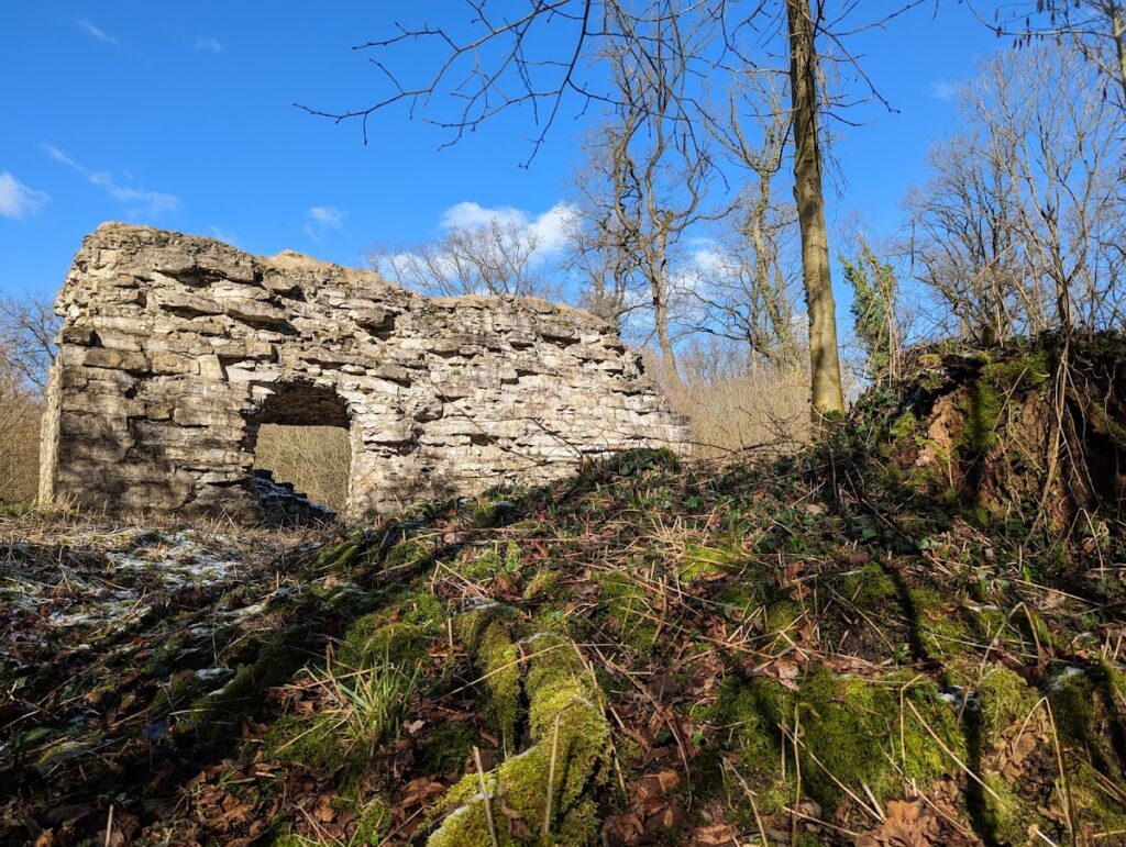 Ruine Nienburg: Remains of a Moated Aristocratic Castle in Germany 2 Ruine Nienburg