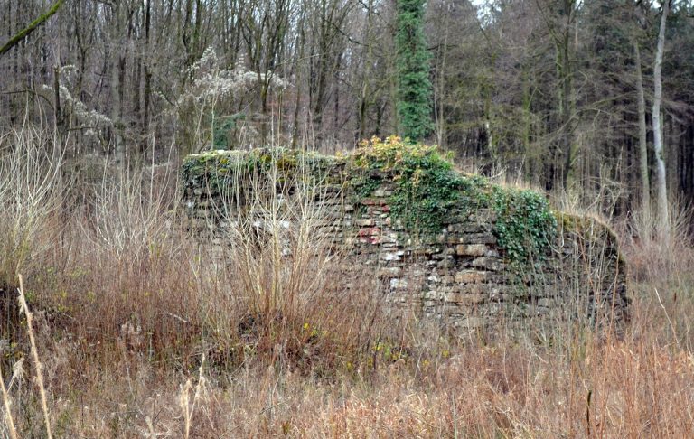 Ruine Nienburg: Remains of a Moated Aristocratic Castle in Germany