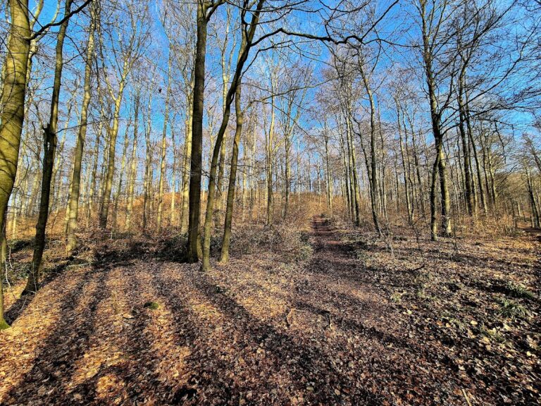 Nammer Lager: A Pre-Roman Iron Age Hillfort in Germany