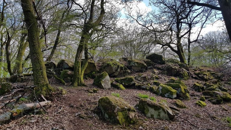 Ringwallburg Heunstein: A Celtic Hilltop Fortification in Germany