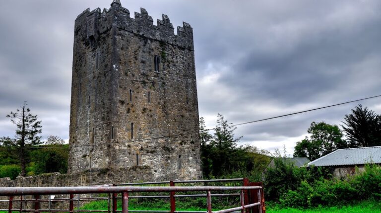 Clara Castle: A Tower House in County Kilkenny