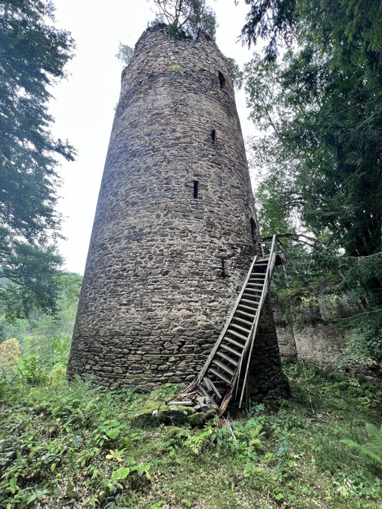 Grünburg Castle Ruins: A High-Medieval Twin Castle in Austria