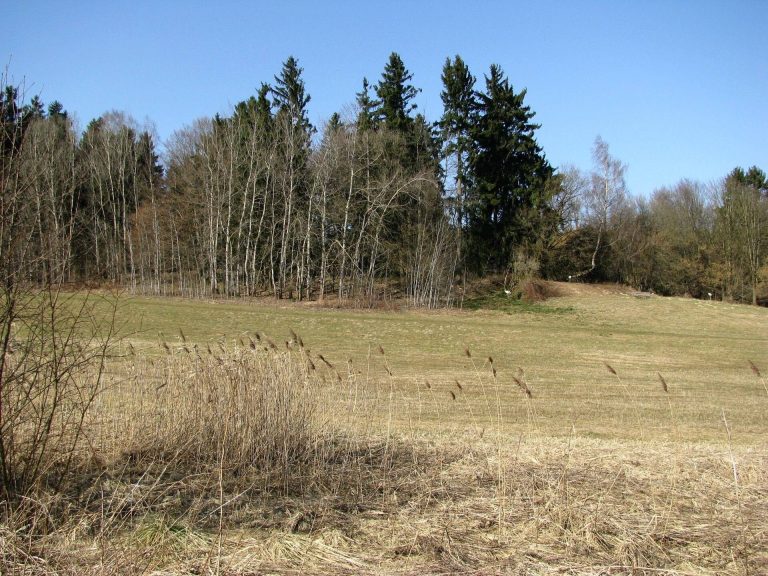 Burgstall Parsberg: A Medieval Tower-Mound Castle Site in Germany