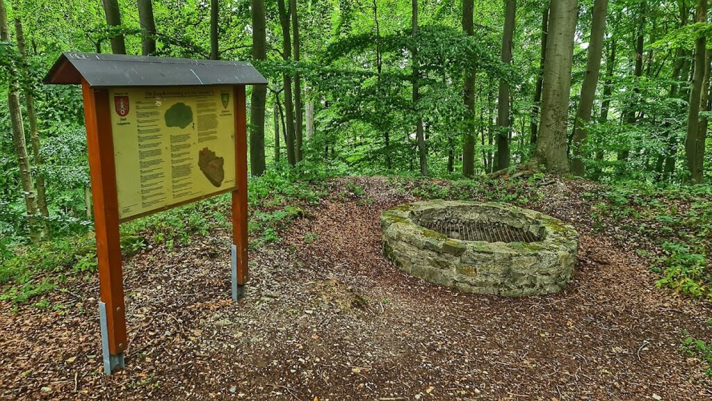 Burgruine Schöneberg: Medieval Hilltop Castle Ruins in Germany 2 Burgruine Schöneberg