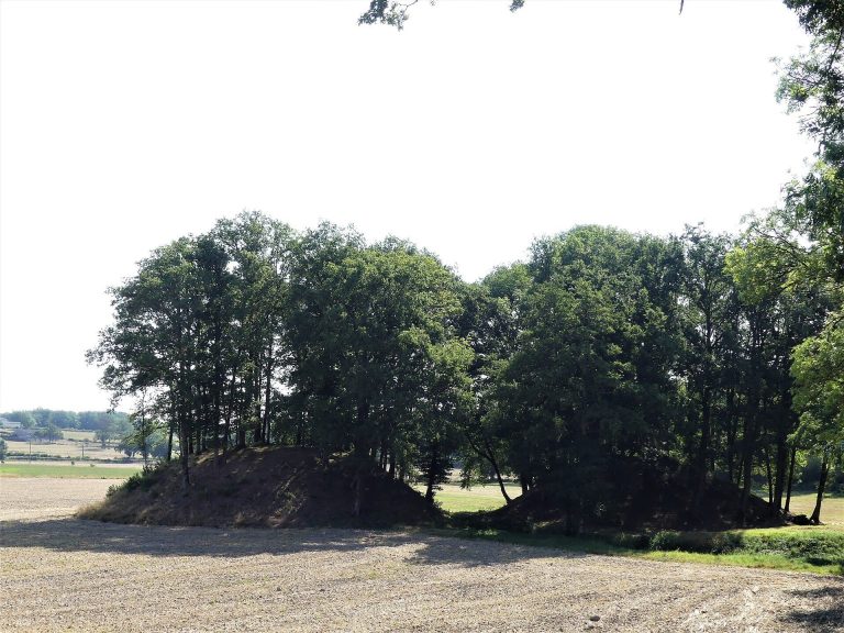 Mottes castrales de la Tour-Saint-Austrille: A Medieval Fortified Site in France