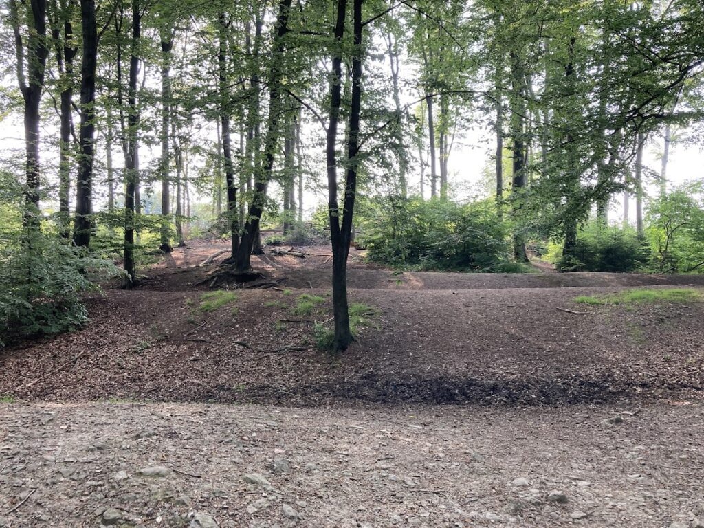 Erdenburg: An Iron Age Hillfort in Germany 1 Erdenburg