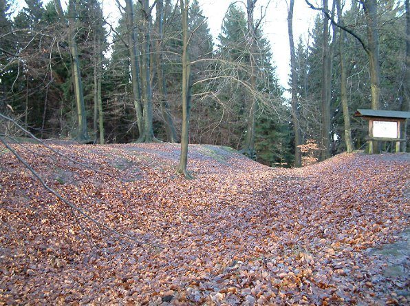Erdenburg: An Iron Age Hillfort in Germany