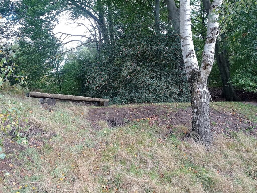 Bumannsburg: An Early Medieval Ringwork Fortification in Germany 2 Bumannsburg