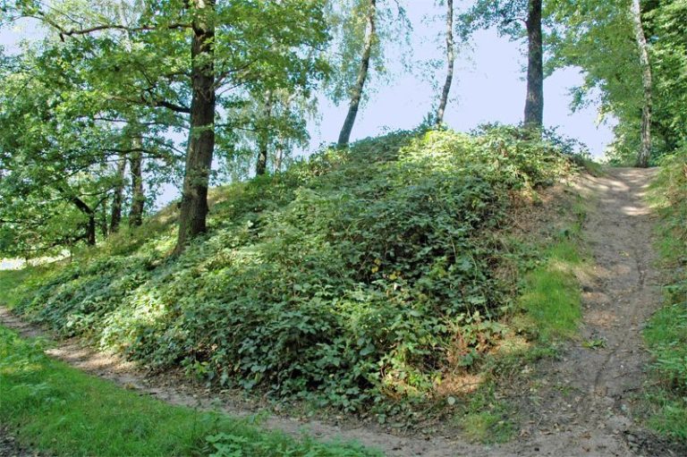 Bumannsburg: An Early Medieval Ringwork Fortification in Germany