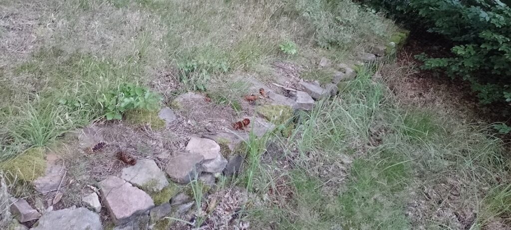 Alteburg: A Celtic Ring-Wall Settlement in Germany 4 Alteburg