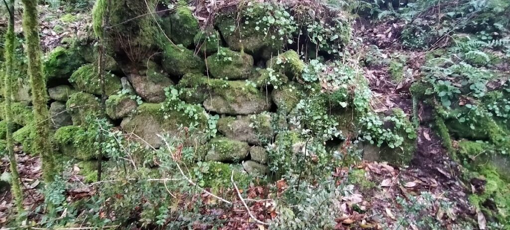 Barreira Tower: A Medieval Fortress in Galicia 2 Barreira Tower