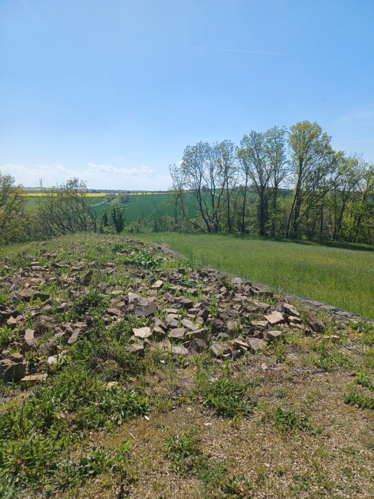 Burgberg Zschaitz: A Prehistoric and Early Medieval Hillfort in Germany 2 Burgberg Zschaitz