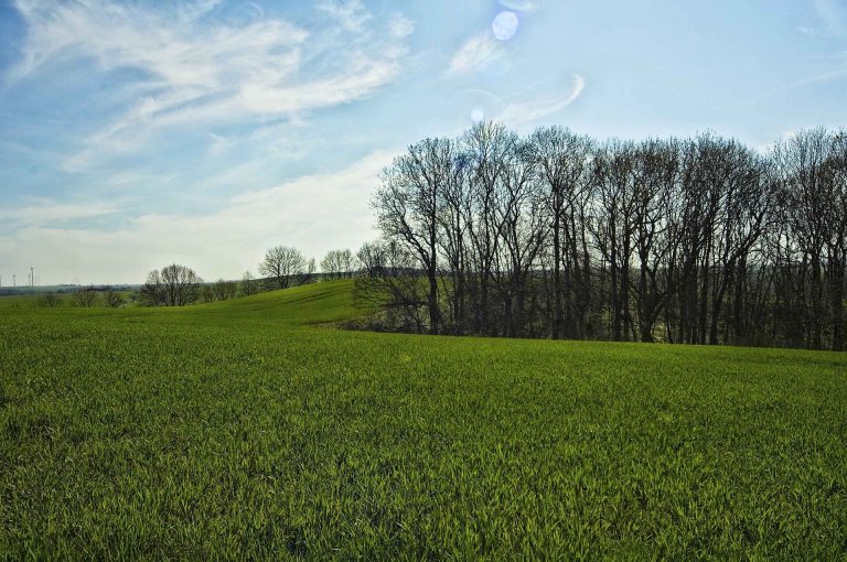 Burgberg Zschaitz: A Prehistoric and Early Medieval Hillfort in Germany