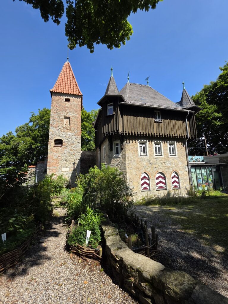 Burghalde: A Fortified Hill and Castle Site in Kempten, Germany