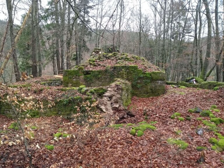 Ruine Turmhölzle (Fernegg): A Medieval Castle Ruin in Germany
