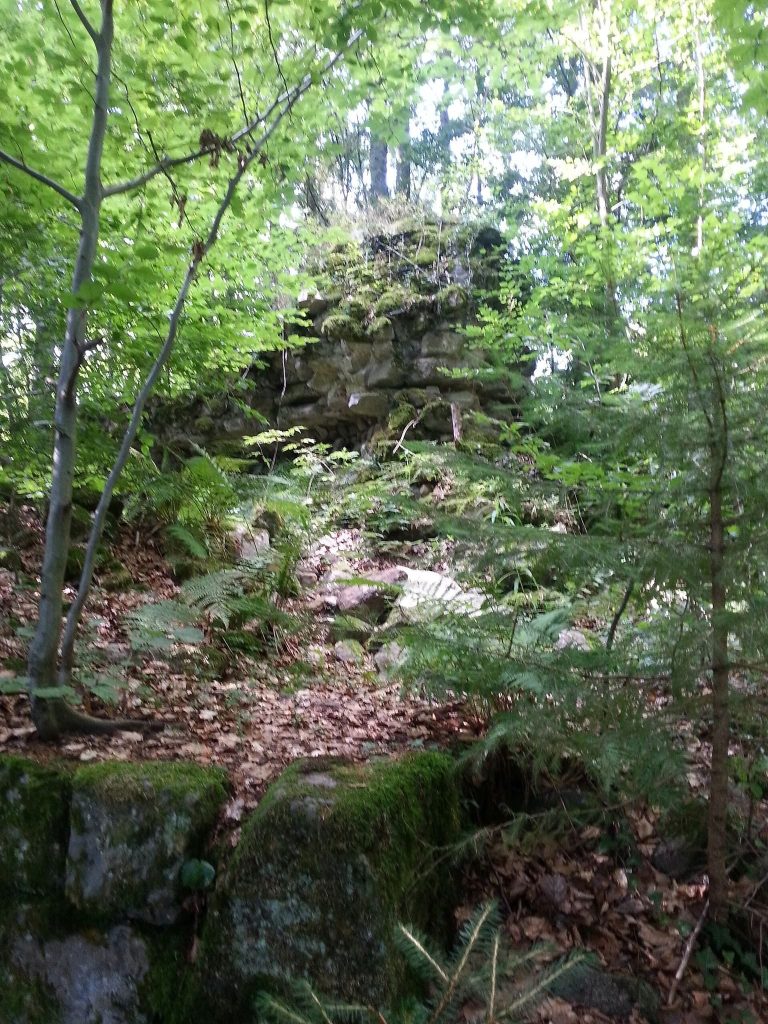 Ruine Turmhölzle (Fernegg): A Medieval Castle Ruin in Germany