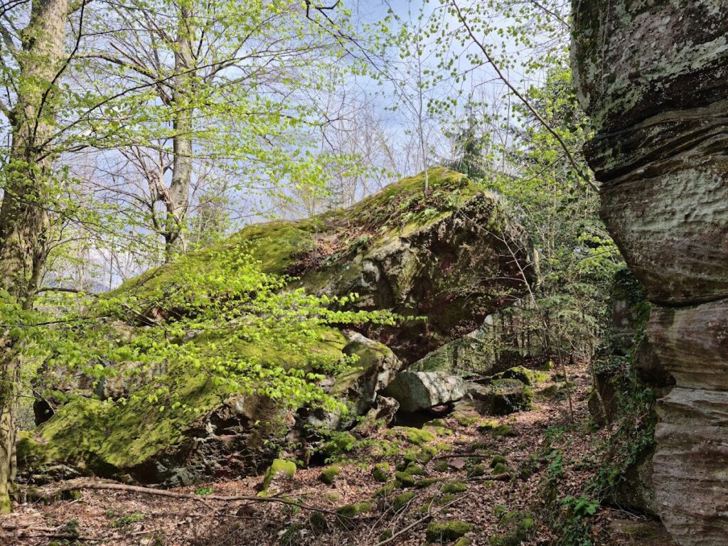 Lützelhardt Castle: A Medieval Pass-Road Fortress in Germany 4 Lützelhardt Castle