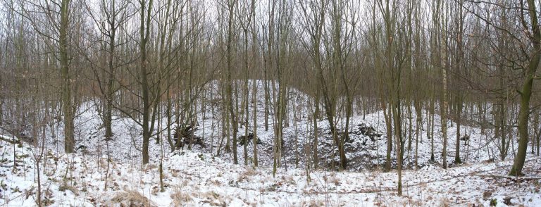 Imbsenburg: A Medieval Motte Castle in Germany
