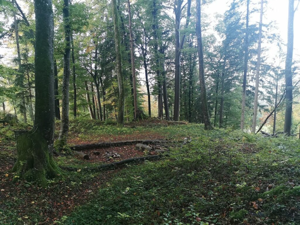Wagenburg, medieval castle ruin