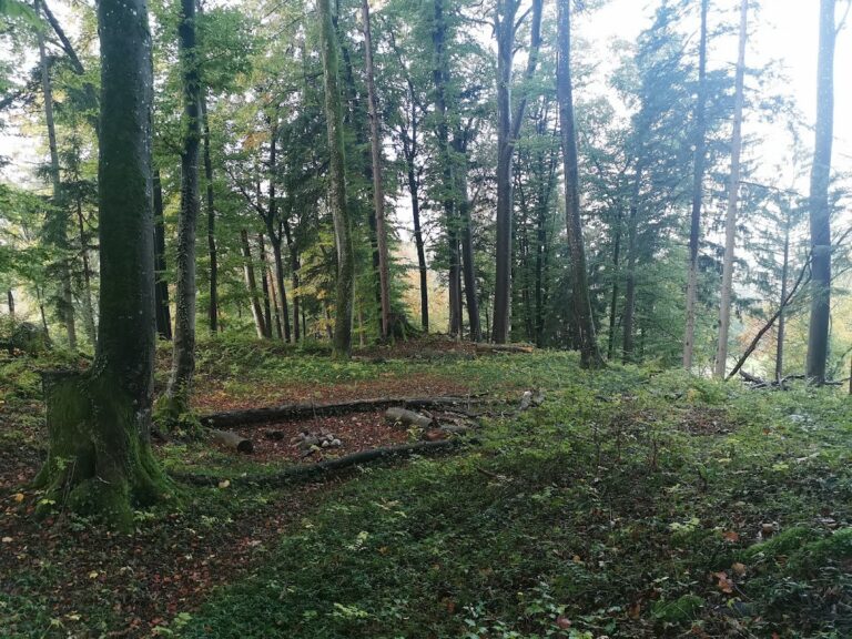 Wagenburg: Medieval Castle Ruin in Switzerland
