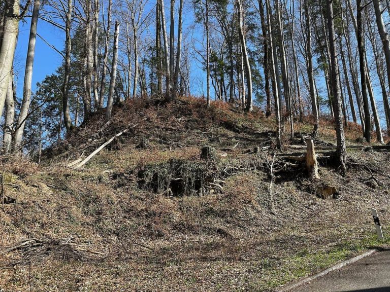 Wagenburg: Medieval Castle Ruin in Switzerland