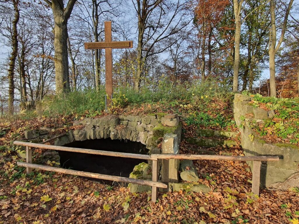 Ruine Wildberg: A High-Medieval Noble Castle in Germany 1 Ruine Wildberg