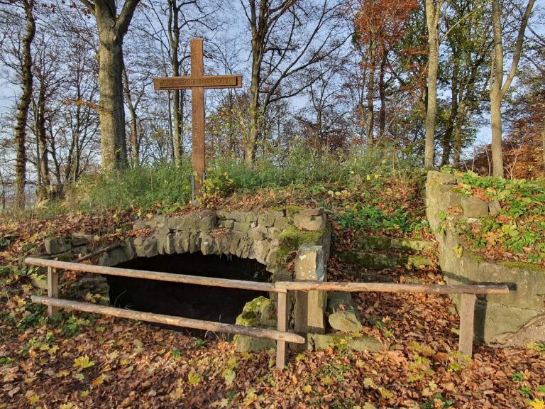 Ruine Wildberg: A High-Medieval Noble Castle in Germany