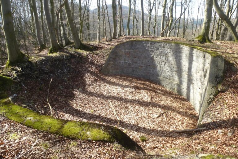Burg Altenfels: A Medieval Hilltop Castle Site in Germany