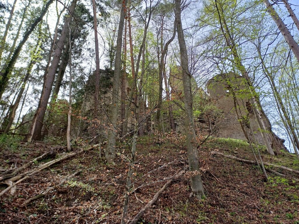 Burgruine Schwarzenbach: A Hilltop Castle Ruin in Austria 2 Burgruine Schwarzenbach