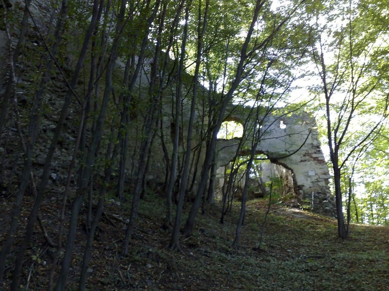 Burgruine Schwarzenbach: A Hilltop Castle Ruin in Austria