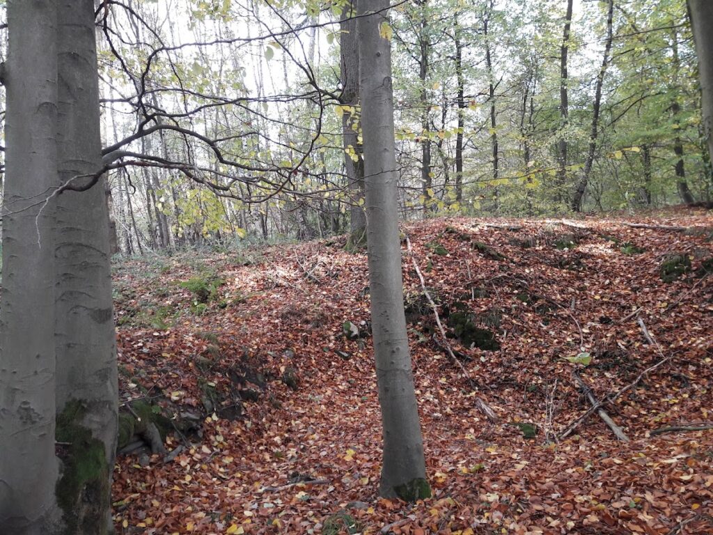 Altes Schloss
