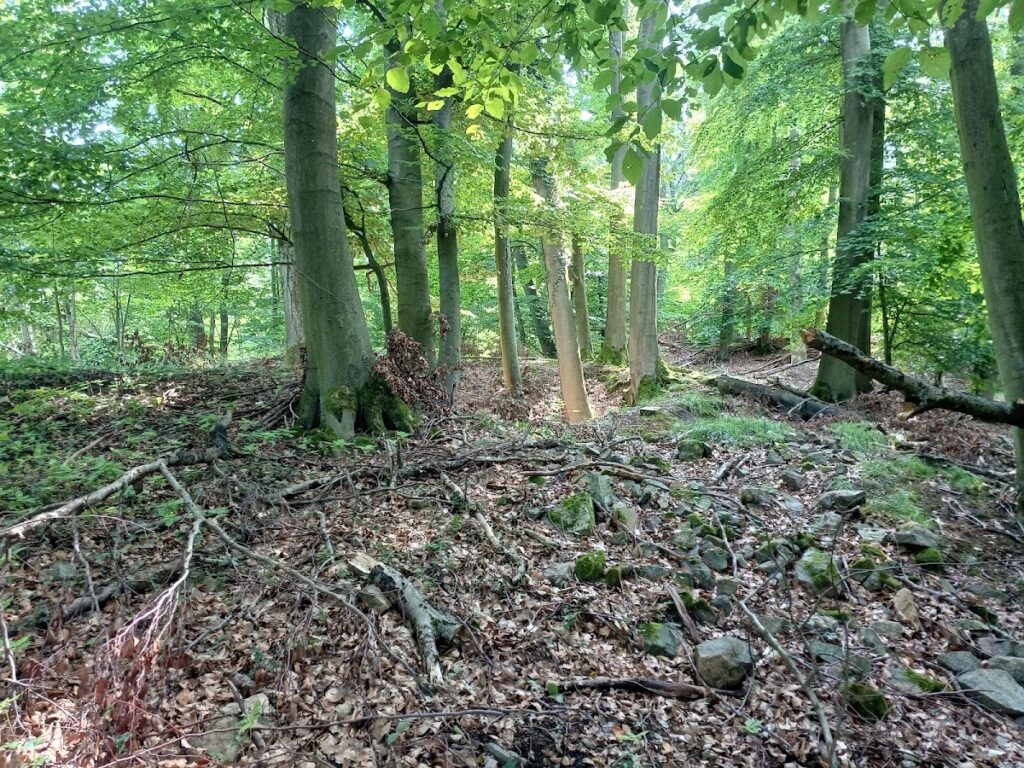 Altes Schloss