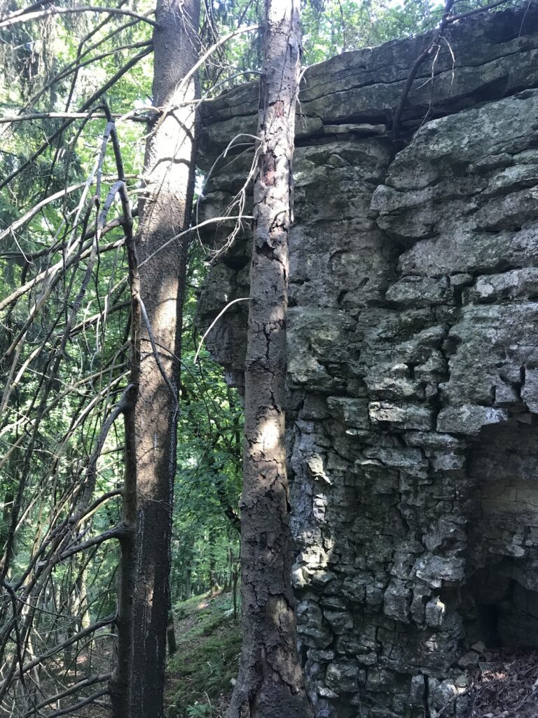 Ödenburg Castle Ruin (Hainsberg): A Medieval Spur Castle in Germany