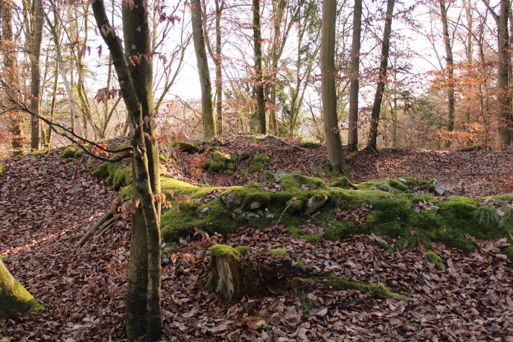 Ödenburg Castle Ruin (Hainsberg): A Medieval Spur Castle in Germany 2 Burgruine Ödenburg (Hainsberg)