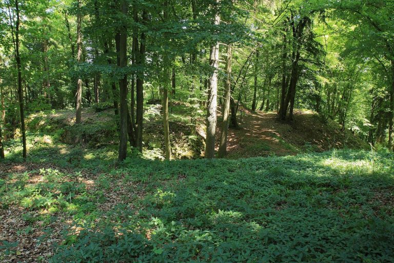 Ödenburg Castle Ruin (Hainsberg): A Medieval Spur Castle in Germany
