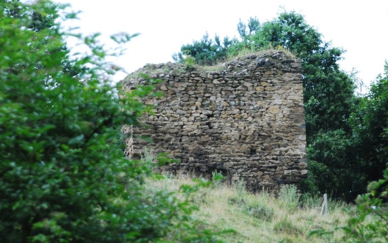 Burg Weikertschlag: A Ruined Medieval Hilltop Castle in Austria